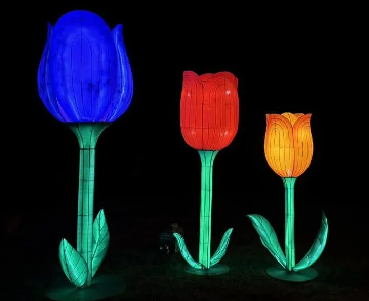 U-Pick Tulips Winter Wonderland At Holland Ridge Farms: An