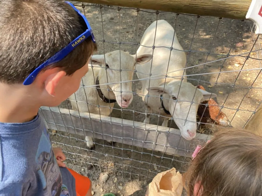 petting zoo in NJ Allaire Community Farm nj mom nj