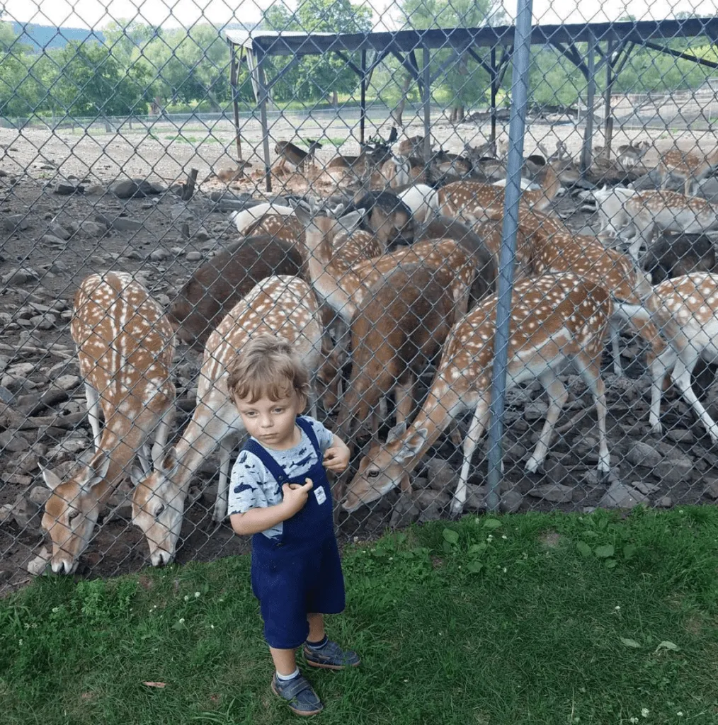 space farms zoo in New Jersey little boy with deer nj mom nj