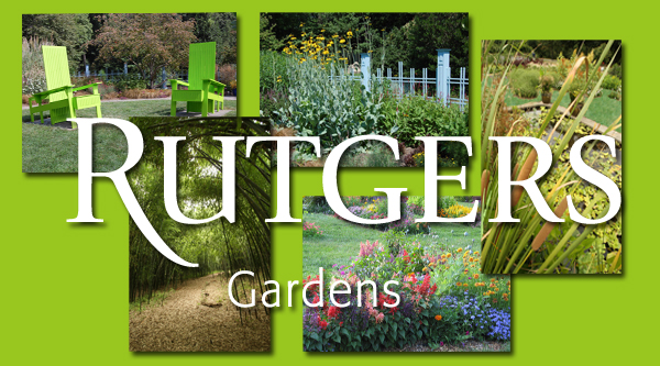 rutgers gardens