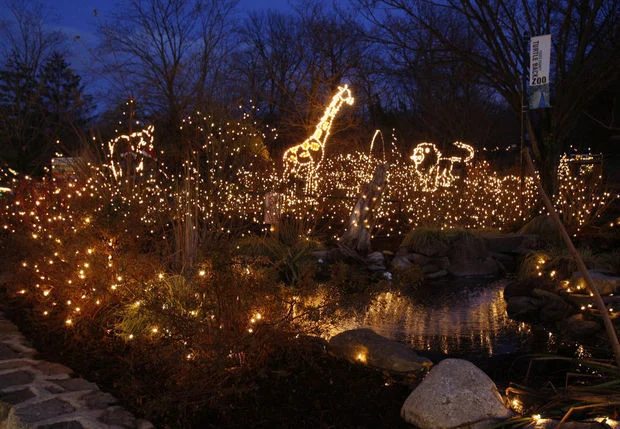 Holiday Lights at Turtleback Zoo