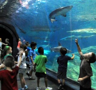 camden aquarium