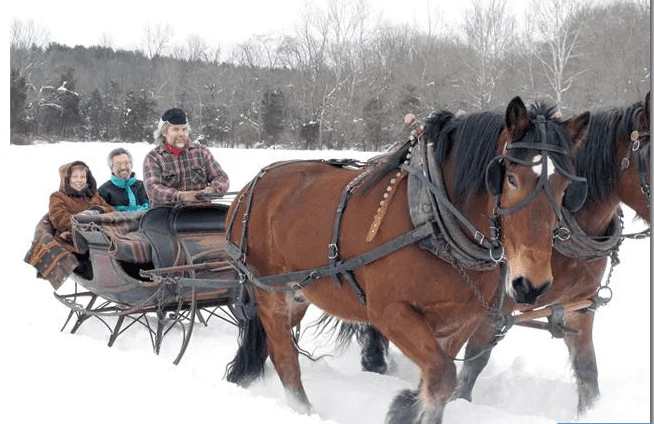 Things to do in New Jersey this Weekend 