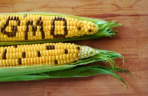 gmo labeling going away