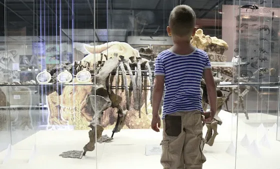 free museum entrance nj