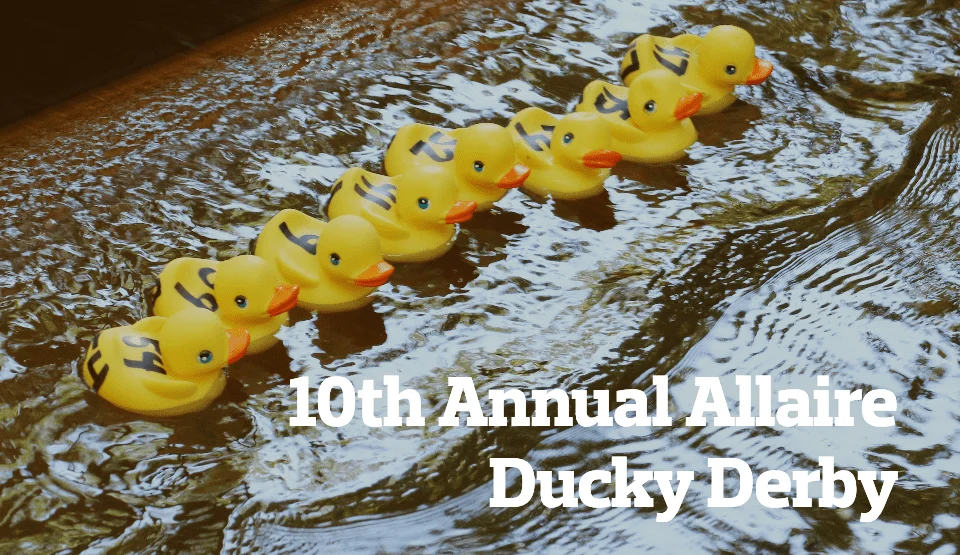 ducks