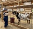 petting zoos nj New Jersey