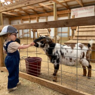 petting zoos nj New Jersey