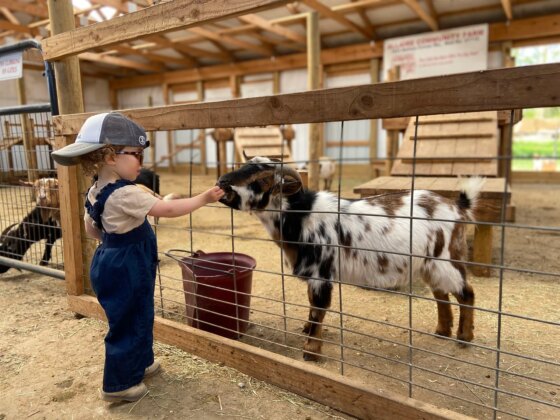 petting zoos nj New Jersey