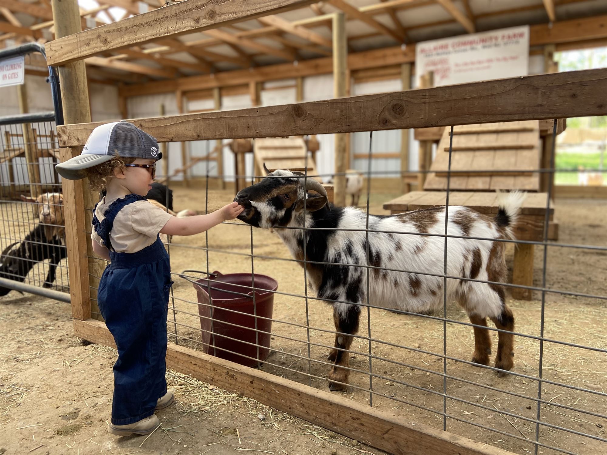 animal farms near me open today - Moises Boudreaux