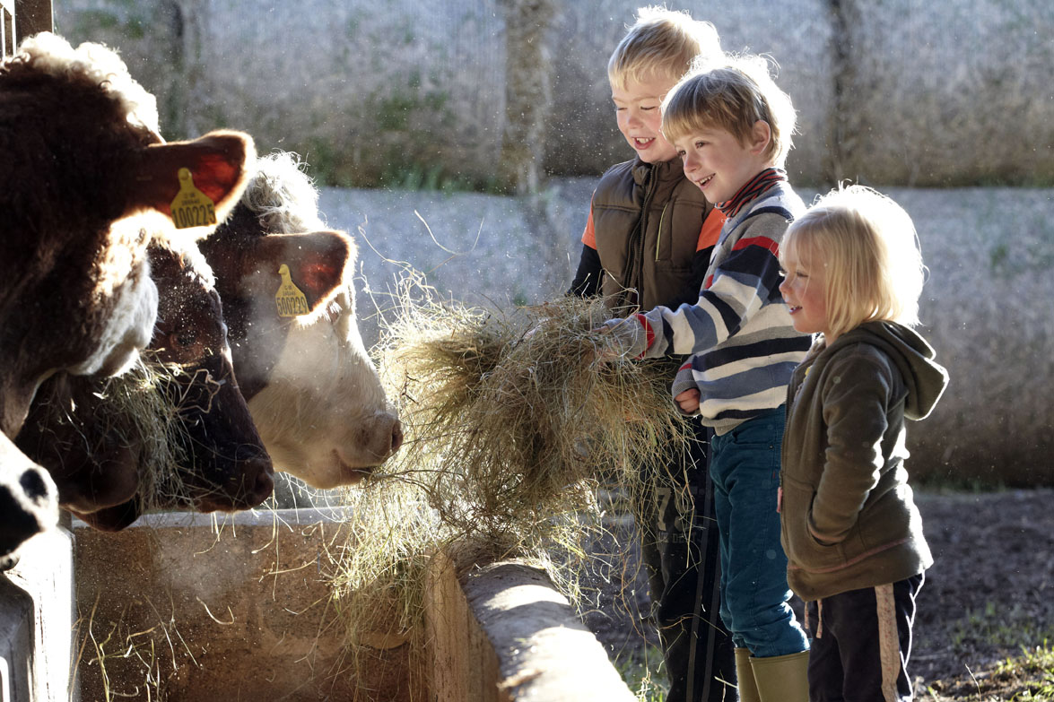 children-feeding-cows-1-lr