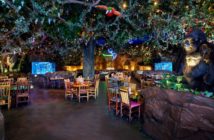 rainforest cafe