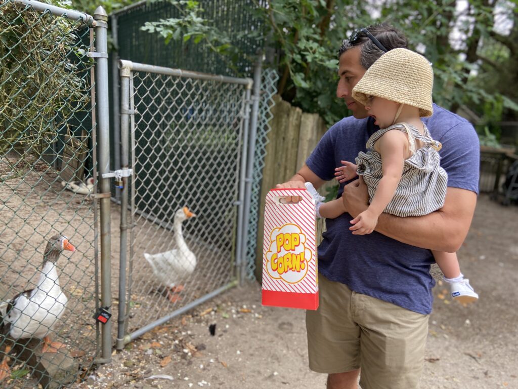 Popcorn Park Refuge Zoo A Sanctuary For Animals In Need