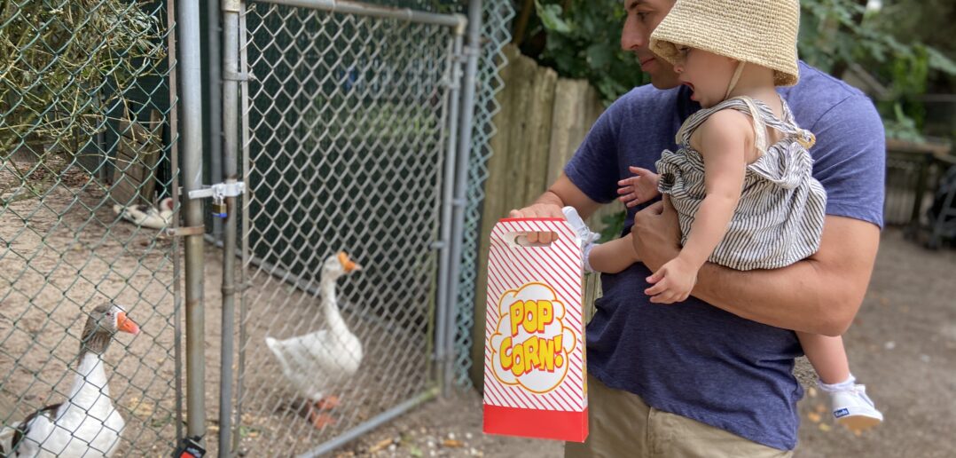 Popcorn Park Refuge Zoo A Sanctuary For Animals In Need