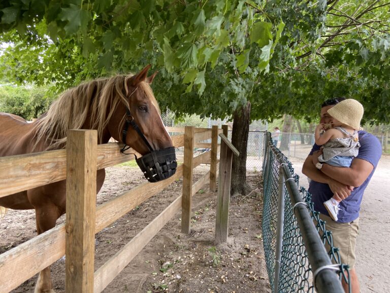 Popcorn Park Refuge Zoo A Sanctuary For Animals In Need