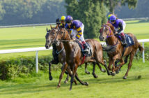 monmouth park racetrack