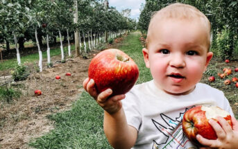 nj mom apple picking in NJ season apple farm new jersey