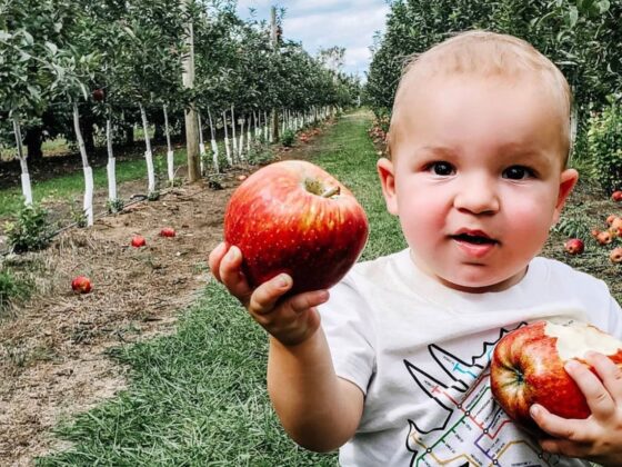 nj mom apple picking in NJ season apple farm new jersey