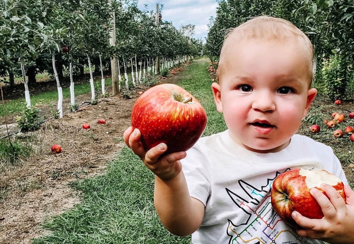 The Best Apple Picking Farms Around NJ