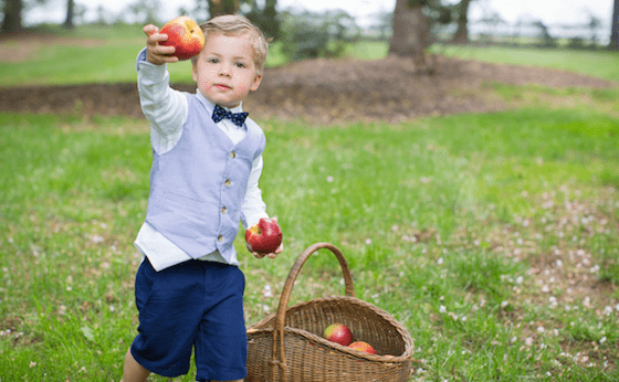 organic farms in NJ