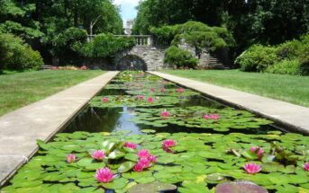 nj mom best gardens and nature centers in New Jersey botanical garden skylands