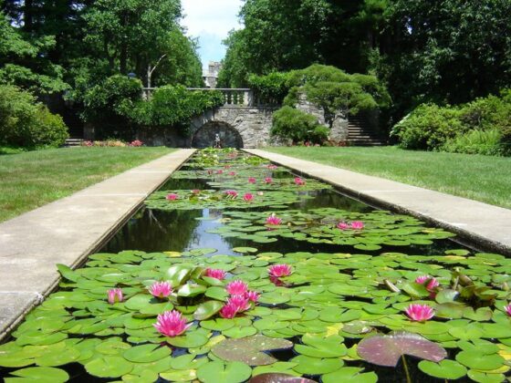 nj mom best gardens and nature centers in New Jersey botanical garden skylands