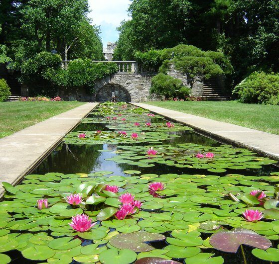 nj mom best gardens and nature centers in New Jersey botanical garden skylands