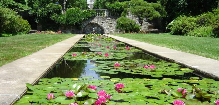 nj mom best gardens and nature centers in New Jersey botanical garden skylands