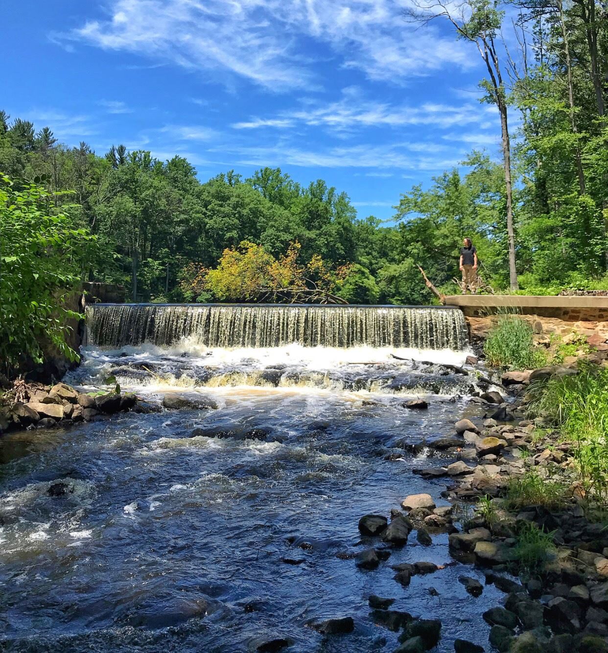 nj mom best hiking trails in new jersey nj hikes black river county park