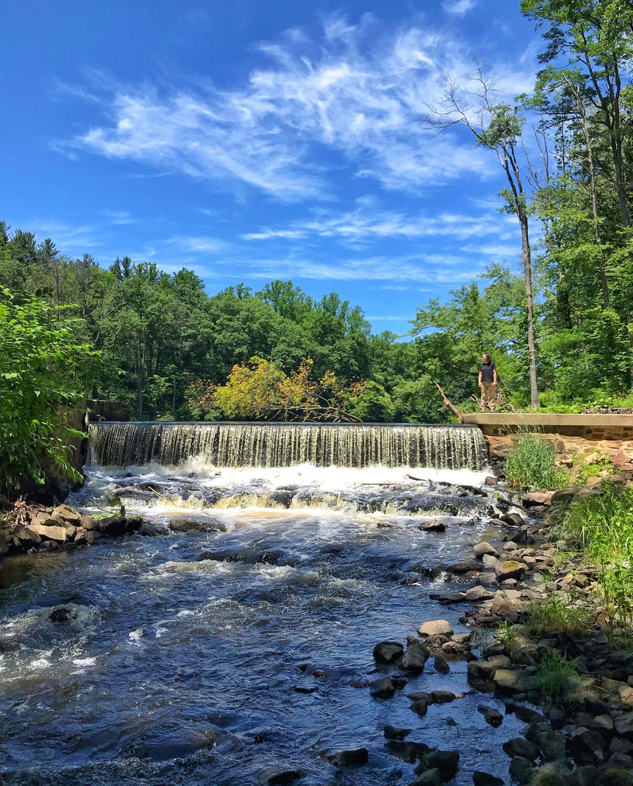 nj mom best hiking trails in new jersey nj hikes black river county park