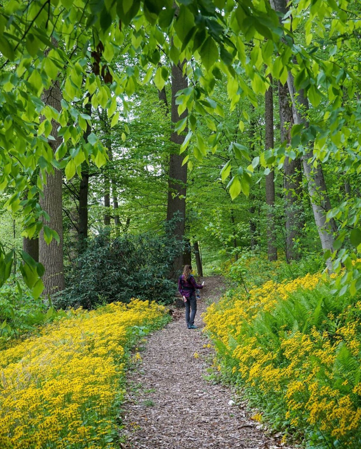 The Best Gardens and Nature Centers in New Jersey