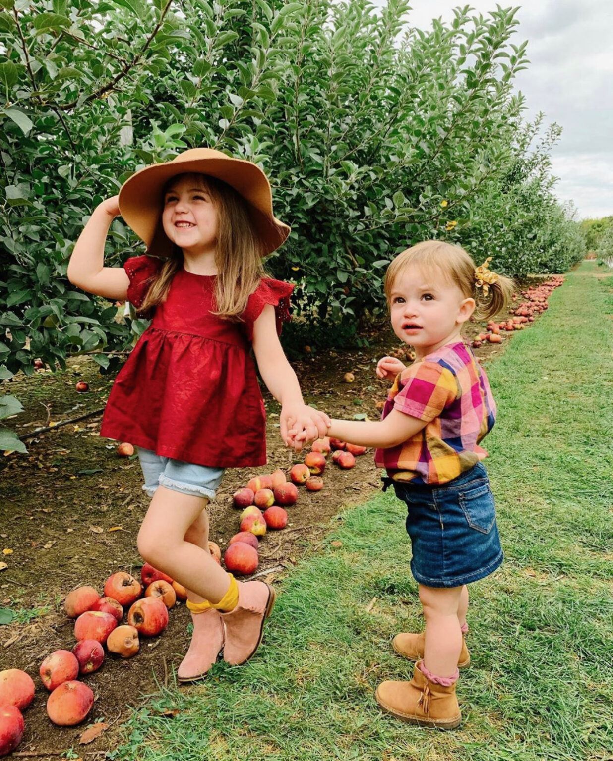 The Best Apple Picking Farms Around NJ