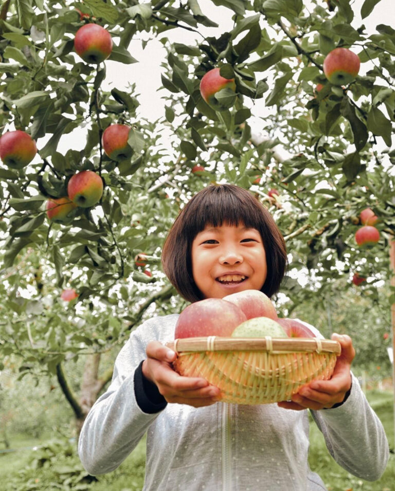 The Best Apple Picking Farms Around NJ