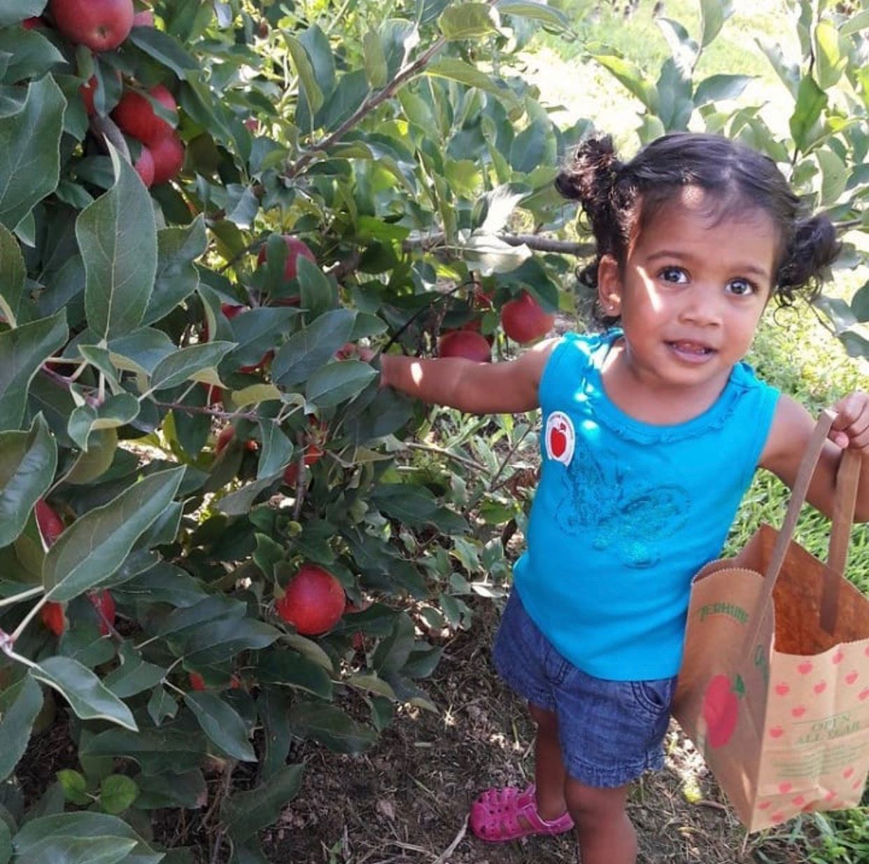 The Best Apple Picking Farms Around NJ