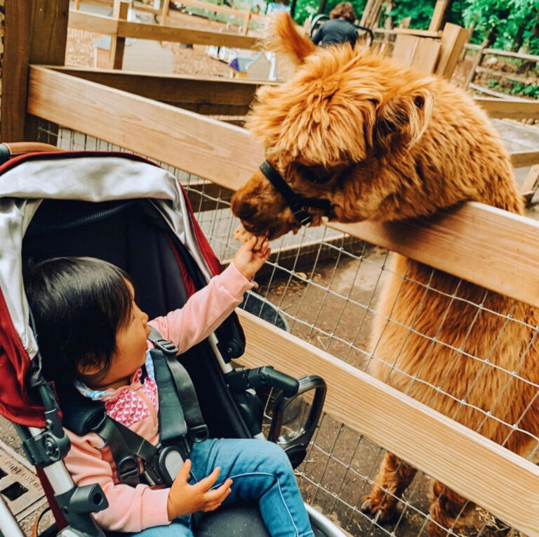 35 NJ Farms For Family Fun This Fall
