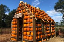 NJ mom kid friendly things to do this week happy day farm fall harvest festival