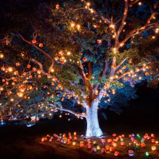 nj mom haunted hayride in nj halloween in new jersey spooky things to do best haunted house jackolantern experience skylands stadium august