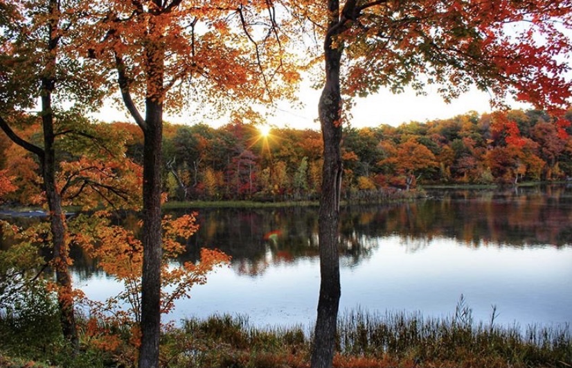 Peep The Finest Fall Foliage In NJ At These 9 Locations