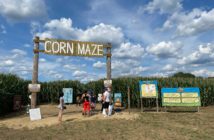 happy day farm corn maze new jersey