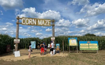 happy day farm corn maze new jersey