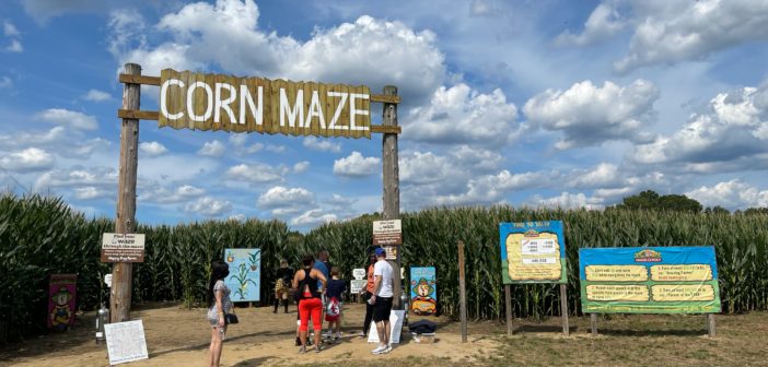 happy day farm corn maze new jersey