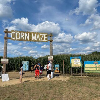 happy day farm corn maze new jersey
