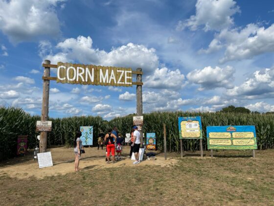 happy day farm corn maze new jersey