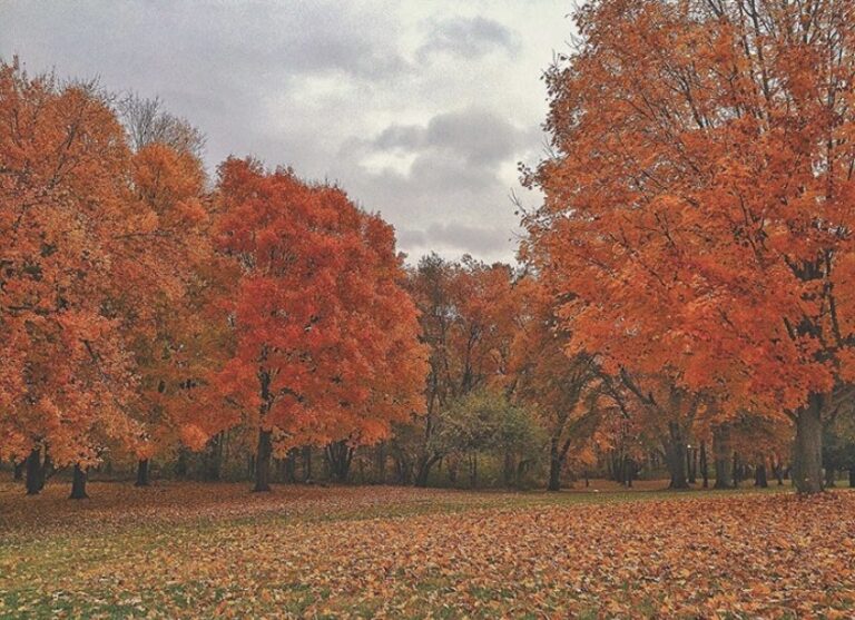 Peep The Best Fall Foliage In NJ At These 9 Places