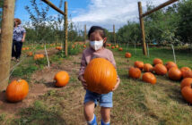 nj mom kid friendly things to do this week demarest farms pumpkin picking in nj movie night