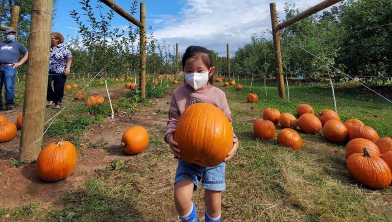 nj mom kid friendly things to do this week demarest farms pumpkin picking in nj movie night