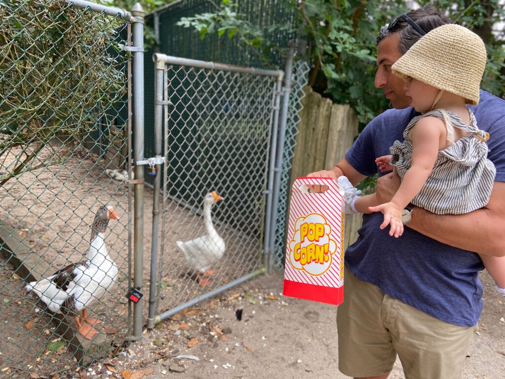 zoos in New Jersey, popcorn park zoo geese and popcorn nj mom nj