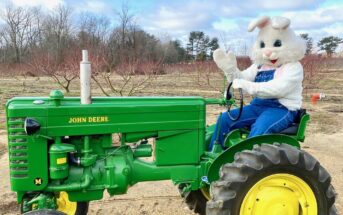 Easter egg hunts nj