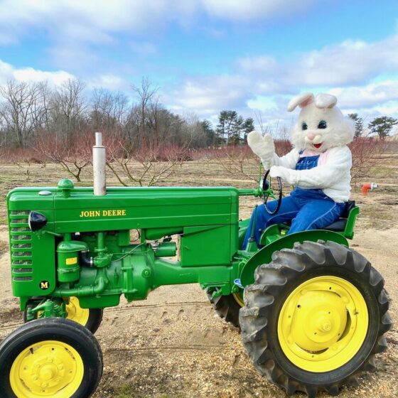 Easter egg hunts nj