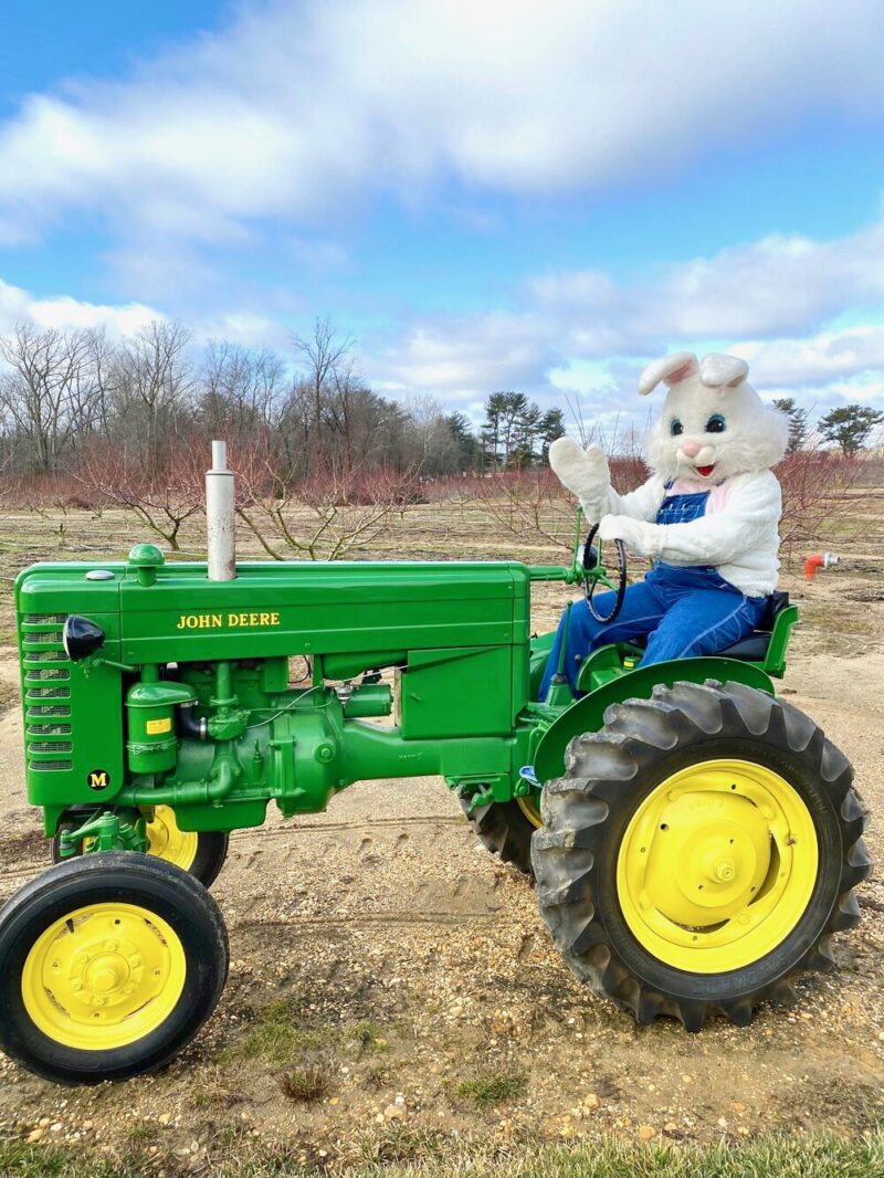 Easter egg hunts nj